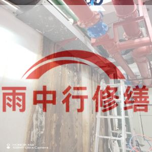 邢台某商业综合体地下室堵漏加固