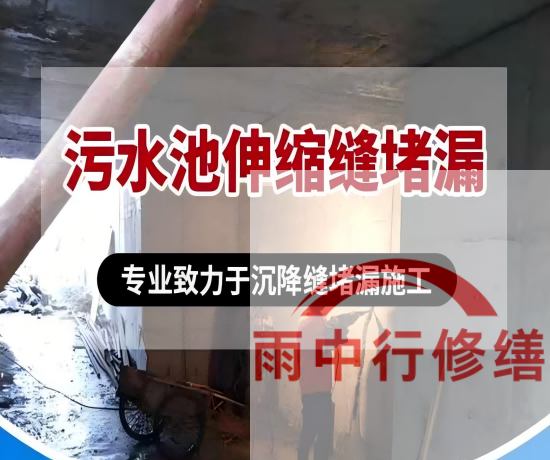 邢台某污水处理厂钢筋混凝土池堵漏案例