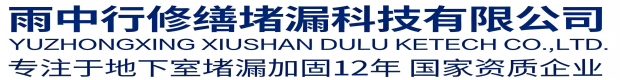 邢台雨中行科技防水堵漏工程有限公司